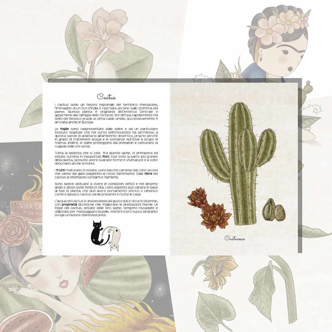 Illustrazioni Erbario di Frida Kahlo Saremo Alberi Editore